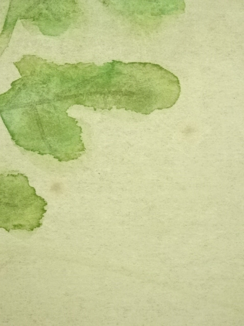 道具 ] - 道具 八木暉筆 菊図 肉筆紙本掛軸（共箱） | ネット